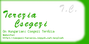 terezia csegezi business card